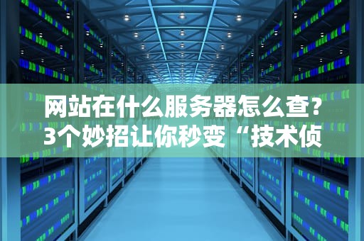 网站在什么服务器怎么查？3个妙招让你秒变“技术侦探”！