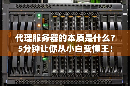 代理服务器的本质是什么？5分钟让你从小白变懂王！