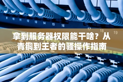 拿到服务器权限能干啥？从青铜到王者的骚操作指南