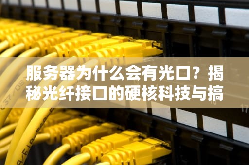 服务器为什么会有光口？揭秘光纤接口的硬核科技与搞笑日常