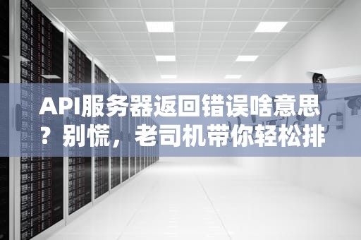 API服务器返回错误啥意思？别慌，老司机带你轻松排雷！