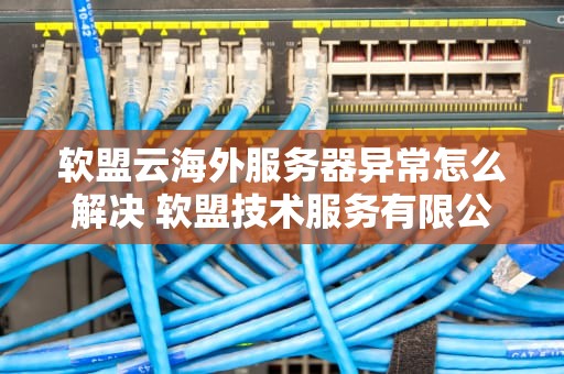 软盟云海外服务器异常怎么解决 软盟技术服务有限公司