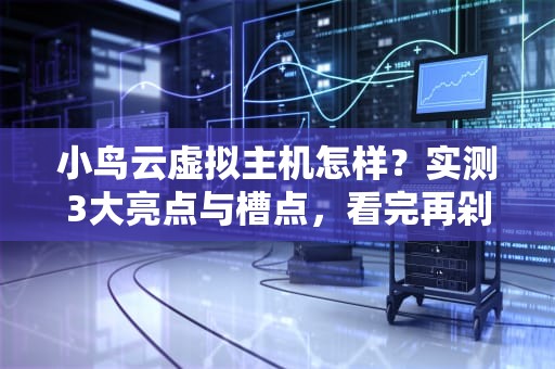 小鸟云虚拟主机怎样？实测3大亮点与槽点，看完再剁手！