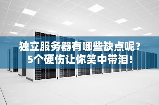 独立服务器有哪些缺点呢？5个硬伤让你笑中带泪！