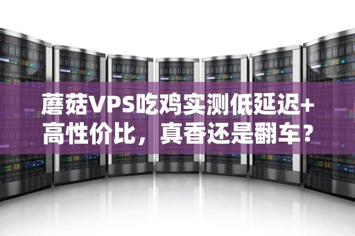蘑菇VPS吃鸡实测低延迟+高性价比，真香还是翻车？