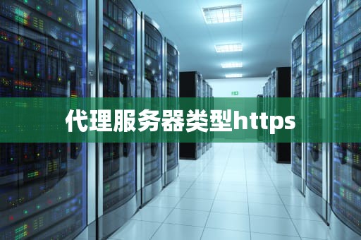 代理服务器类型https
