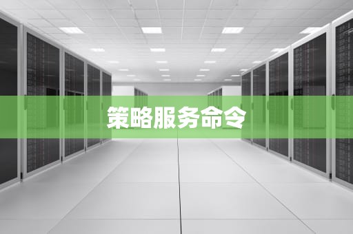 策略服务命令