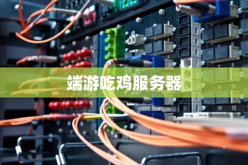 端游吃鸡服务器