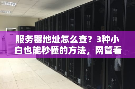 服务器地址怎么查？3种小白也能秒懂的方法，网管看了直呼内行！