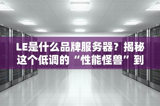 LE是什么品牌服务器？揭秘这个低调的“性能怪兽”到底香不香！