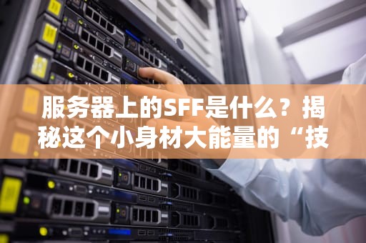 服务器上的SFF是什么？揭秘这个小身材大能量的“技术小钢炮”