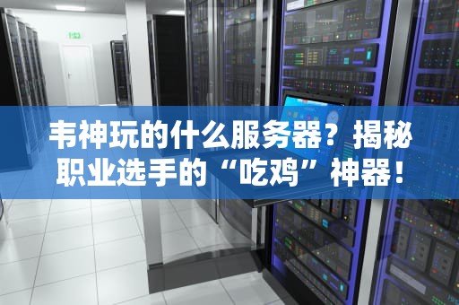 韦神玩的什么服务器？揭秘职业选手的“吃鸡”神器！