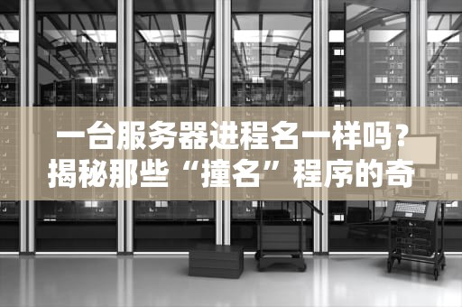 一台服务器进程名一样吗？揭秘那些“撞名”程序的奇妙人生！