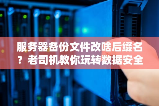 服务器备份文件改啥后缀名？老司机教你玩转数据安全！