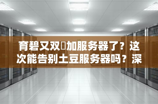 育碧又双叒加服务器了？这次能告别土豆服务器吗？深度测评