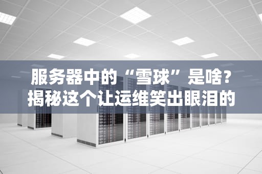 服务器中的“雪球”是啥？揭秘这个让运维笑出眼泪的神奇功能！