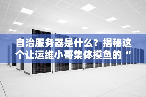 自治服务器是什么？揭秘这个让运维小哥集体摸鱼的“黑科技”！