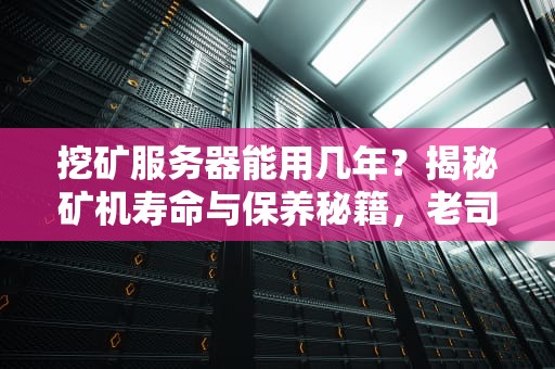 挖矿服务器能用几年？揭秘矿机寿命与保养秘籍，老司机都这么玩！