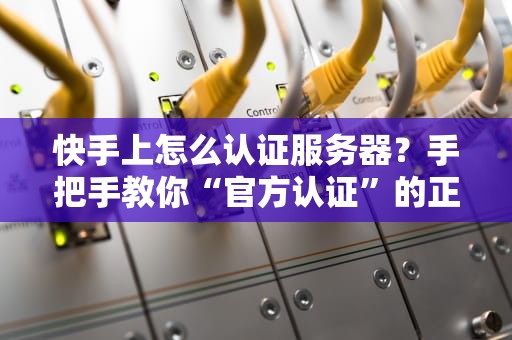 快手上怎么认证服务器？手把手教你“官方认证”的正确姿势！