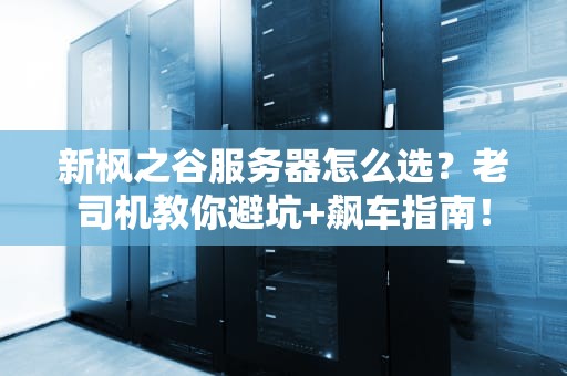 新枫之谷服务器怎么选？老司机教你避坑+飙车指南！