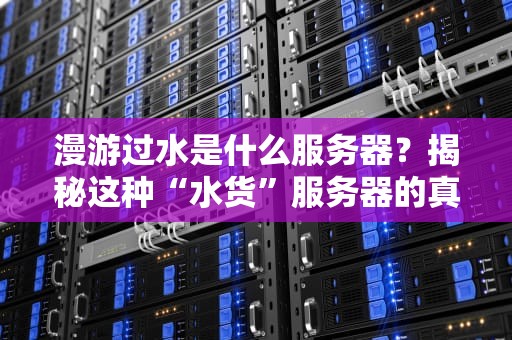 漫游过水是什么服务器？揭秘这种“水货”服务器的真相与妙用！