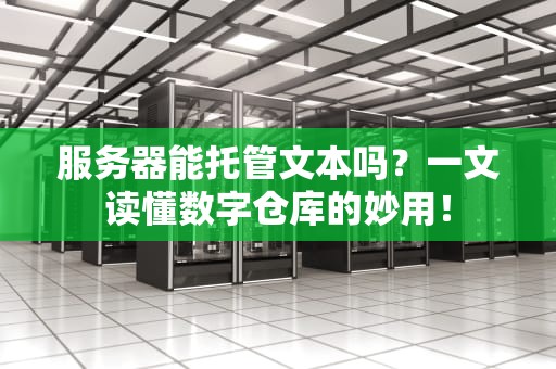 服务器能托管文本吗？一文读懂数字仓库的妙用！