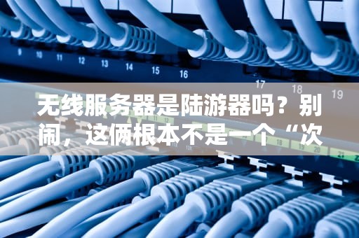 无线服务器是陆游器吗？别闹，这俩根本不是一个“次元”的生物！