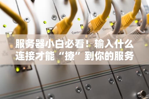 服务器小白必看！输入什么连接才能“撩”到你的服务器？