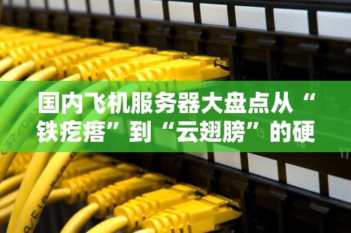 国内飞机服务器大盘点从“铁疙瘩”到“云翅膀”的硬核进化史