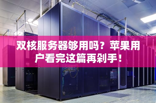双核服务器够用吗？苹果用户看完这篇再剁手！
