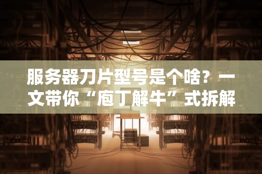 服务器刀片型号是个啥？一文带你“庖丁解牛”式拆解！