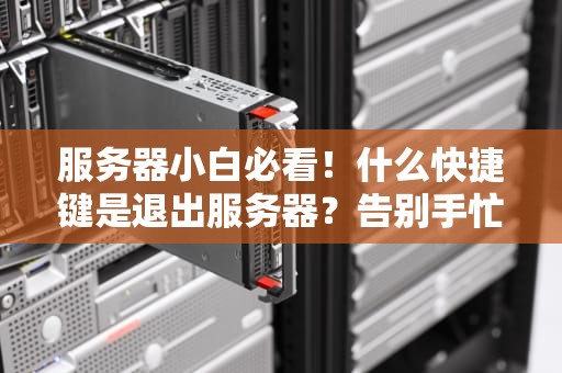 服务器小白必看！什么快捷键是退出服务器？告别手忙脚乱的神操作指南