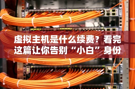 虚拟主机是什么续费？看完这篇让你告别“小白”身份！