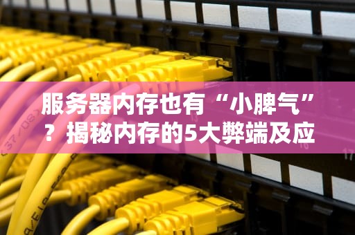 服务器内存也有“小脾气”？揭秘内存的5大弊端及应对妙招！