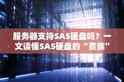 服务器支持SAS硬盘吗？一文读懂SAS硬盘的“贵族”身份与兼容性