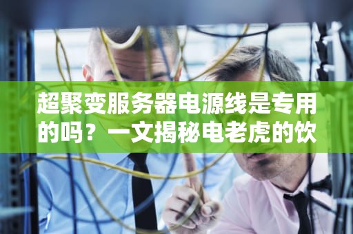 超聚变服务器电源线是专用的吗？一文揭秘电老虎的饮食癖好！
