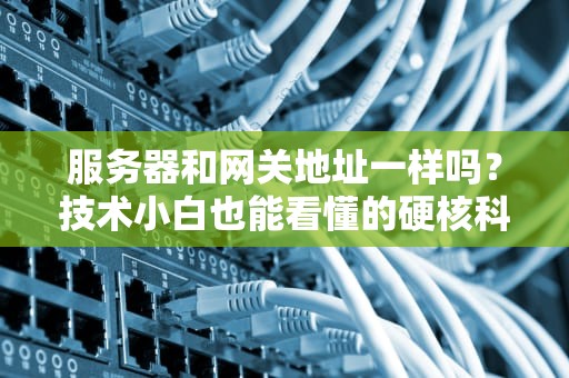服务器和网关地址一样吗？技术小白也能看懂的硬核科普
