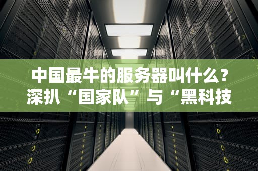 中国最牛的服务器叫什么？深扒“国家队”与“黑科技”的硬核内幕！