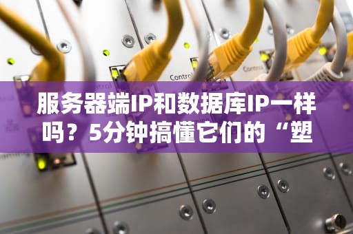 服务器端IP和数据库IP一样吗？5分钟搞懂它们的“塑料兄弟情”