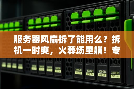 服务器风扇拆了能用么？拆机一时爽，火葬场里躺！专业测评博主含泪揭秘