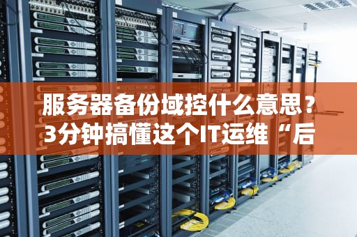 服务器备份域控什么意思？3分钟搞懂这个IT运维“后悔药”！