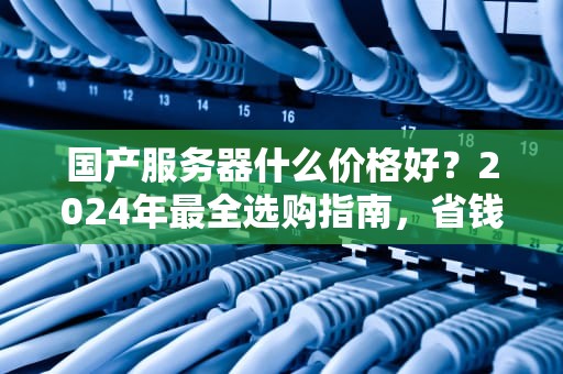 国产服务器什么价格好？2024年最全选购指南，省钱不踩坑！