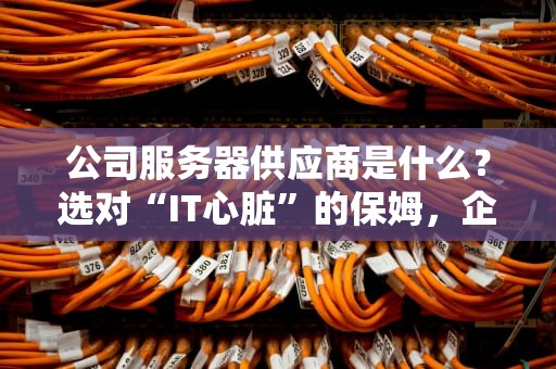 公司服务器供应商是什么？选对“IT心脏”的保姆，企业才能稳如老狗！