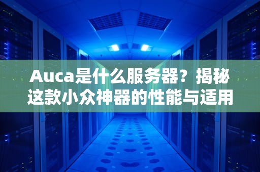 Auca是什么服务器？揭秘这款小众神器的性能与适用场景