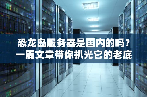 恐龙岛服务器是国内的吗？一篇文章带你扒光它的老底！