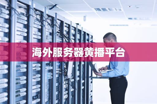 海外服务器黄播平台