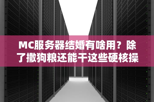 MC服务器结婚有啥用？除了撒狗粮还能干这些硬核操作！