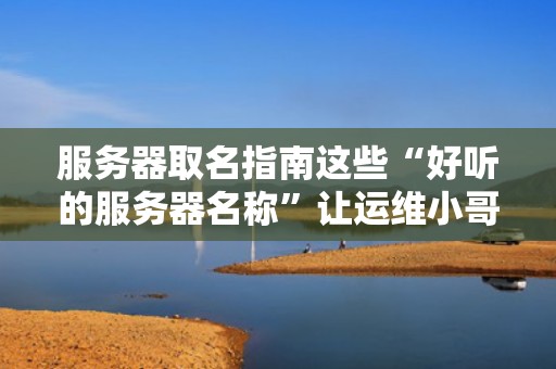 服务器取名指南这些“好听的服务器名称”让运维小哥笑出腹肌！