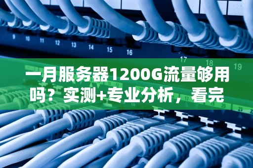 一月服务器1200G流量够用吗？实测+专业分析，看完不踩坑！