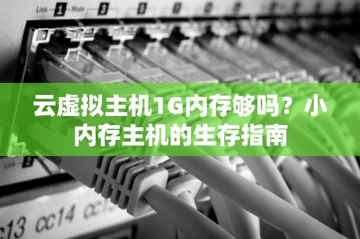 云虚拟主机1G内存够吗？小内存主机的生存指南
